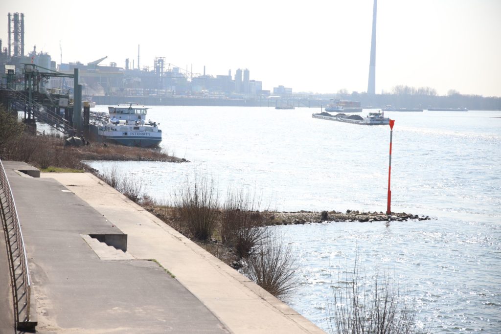 Buhnen am Rhein in Leverkusen