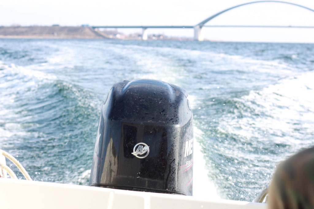 Fehmarnsund Köderschlacht Angelblog Motorboot