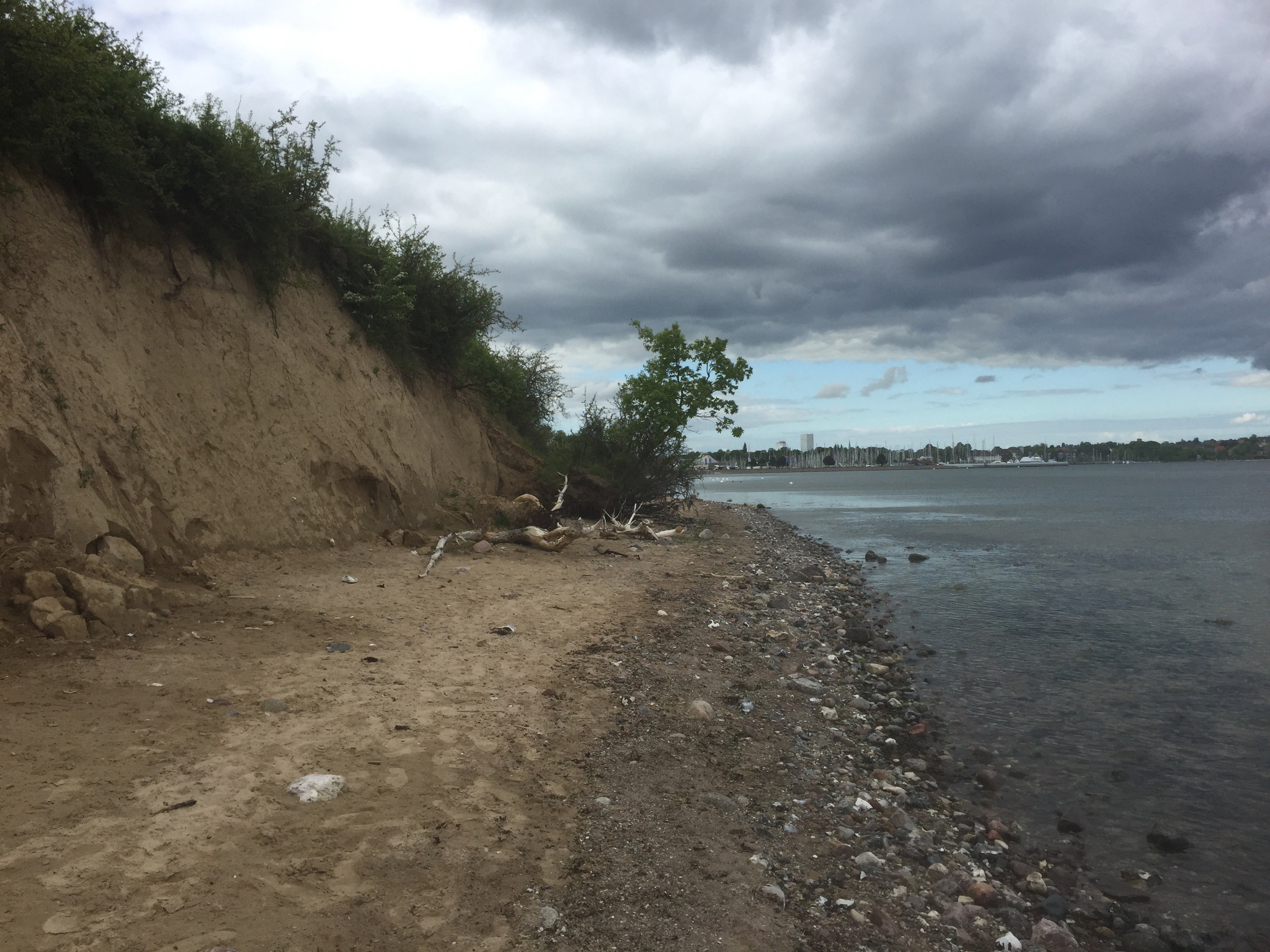Hornhechtangeln in der Ostsee